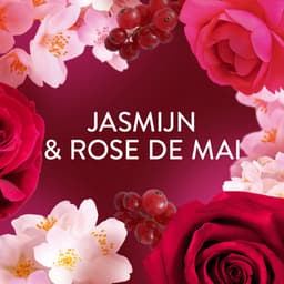 Lenor Geurbooster Jasmijn & Rose de Mai - 6 x 155 gram - Wasparfum — thumbnail 5
