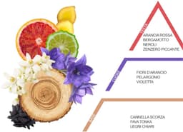 Wasparfum Amalfi 500ml – Ventilii Milano® — thumbnail 2