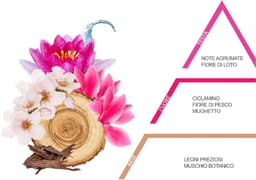 Wasparfum Oriente 500ml – Ventilii Milano® — thumbnail 2