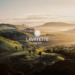 Lavayette Drogerballen XL + Gratis Wasparfum (25ml) - 6 Wasdrogerballen van 100% Schapenwol - Droogballen voor Wasdroger — thumbnail 3