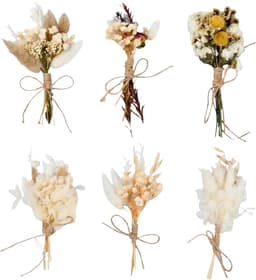 Gedroogde bloemen, kleine gedroogde bloemen, gedroogde bloemen om mee te knutselen, natuurlijke gedroogde boeketten voor fotolijsten, DIY, huisfeestjes en bruiloftsdecorat — thumbnail 1