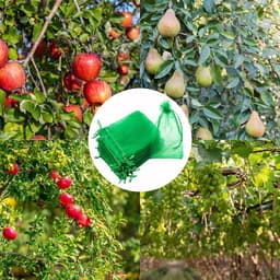 Fruitnetzakken - Beschermzakken groenten - Fruit beschermen - Herbruikbaar trekkoord - 100 stuks - Donkergroen — thumbnail 3