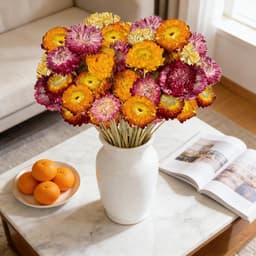 Gedroogde bloemen, 20 stuks veelkleurige gedroogde madeliefjes met stengels voor bruiloft, thuis en op kantoor, feestdecoratie — thumbnail 5