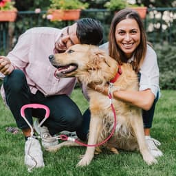 Robuuste grondanker voor honden, ideaal voor grote honden, met 3 m oproepleid en roestvrije beveiliging voor kleine en middelgrote honden. — thumbnail 4