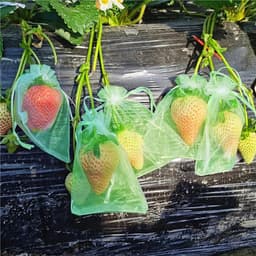 Fruit Beschermzakjes - Net Zakjes - Vogels Buiten Houden - Met Trekkoord - 50 Stuks - Groen — thumbnail 3