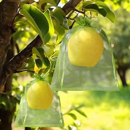 Fruitnetzakken - Beschermzakken Insectennet - Fruit Beschermen - Met Trekkoord - 15 x 20 cm - Groen — thumbnail 3