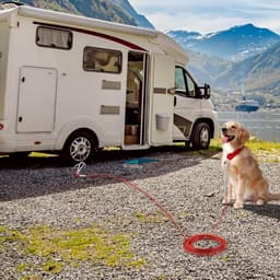 Honden Anker - Mobiele Grondanker - Outdoor Activiteiten - Uniek Poot Ontwerp - 25 cm Lengte - Zilver — thumbnail 3