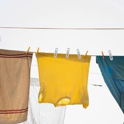 10 stuks - Wasknijpers van roestvrij staal - Platte wasknijpers - Platte vouwers - Heavy Duty Laundry Clips - metalen wasknijpers - kledingclips - Geschikt voor gebruik buitenshuis, thuis, in de keuken, op reis en op kantoor — thumbnail 4