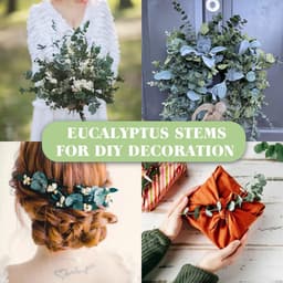 Gedroogde gedroogde gedroogde bloemen decoratief 45 cm natuurlijk fris groen met echte eucalyptusbladeren plant ideaal voor vazen bloemstukken bruiloftsdecoraties en wooncultuur — thumbnail 3
