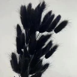 Gedroogde konijnenstaarten bloemen Lagurus konijnenstaarten pampasgras decor zwart gedroogd pampasgras decoratie voor bloemstukken boho bruiloft boeketten woondecoratie tuindecoratie — thumbnail 3