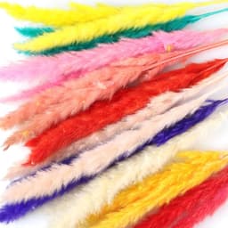 Gedroogde Bloemen, Pampas Gras DIY Handgemaakte Valentijnsdag Bruiloft Woondecoratie Boeket Pampas Grass (Color : Brown) — thumbnail 4