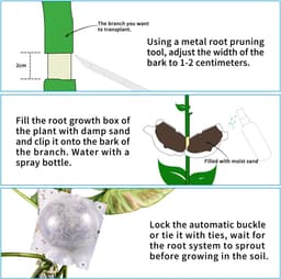 12 stuks Plant bewortelingsapparaten (transparant) met 50 stuks veilige sloten, herbruikbaar en 1 stuks spuitfles, voortplanting bewortelingsbal Plant wortelgroeikast voor groene fruitboom — thumbnail 5
