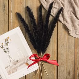 Gedroogde bloemen, 30 stuks, natuurlijke gedroogde bloemen, 44 cm, gedroogde bloemen, pampasgras, decoratie, zwarte riet, gedroogde pampasgrasveren voor bloemendecoratie — thumbnail 2