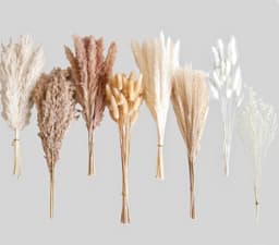 128 stuks gedroogd pampasgrasboeket, boho-tafeldecoratie, konijnenstaarten gedroogde bloemen, bruin pampas, wit pampasgras voor bruiloften, thuisdecoratie, rustieke feesten en babyshowerdecoraties — thumbnail 4