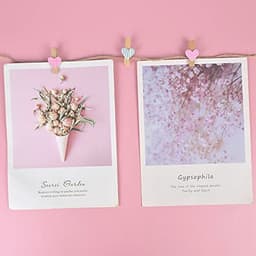 Houten foto-display-clips 50 stuks gekleurd - Mini knutselclips met jute touw voor muurdecoratie — thumbnail 5