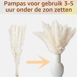 128 stuks gedroogd pampasgrasboeket, boho-tafeldecoratie, konijnenstaarten gedroogde bloemen, bruin pampas, wit pampasgras voor bruiloften, thuisdecoratie, rustieke feesten en babyshowerdecoraties — thumbnail 3