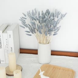 Gedroogde bloemen, konijnenstaart, grijs, natuurlijke droogbloemen, gras, konijnenstaart, gedroogde bloemen, decoratief voor thuis, tafel, bruiloft, vaas, feest — thumbnail 5
