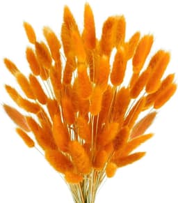 120 stuks decoratieve droogbloemen, droogbloemen, kan vrij worden gesneden, decoratieve veren, Boheemse stijl, voor woonkamer, slaapkamer, werkkamer (oranje) — thumbnail 1