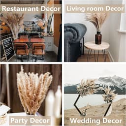 125 stuks gedroogd pampasgrasboeket, boho-tafeldecoratie, konijnenstaarten gedroogde bloemen, bruin pampas, wit pampasgras voor bruiloften, thuisdecoratie, rustieke feesten en babyshowerdecoraties — thumbnail 4