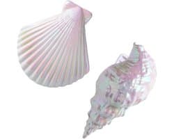 2 stuks, strandhanddoekklemmen, ligstoelklemmen, geschikt voor strandstoelen, handdoeken, strandkleding en badhanddoeken