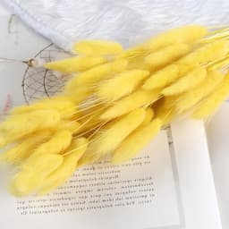 Gedroogd pampasgras, konijnenstaart, gras, 60 stuks, natuurlijke droogbloemen, boeket, decoratie, kunst, groot, droogbloemen, pampasgras voor interieur, fotografie, bruiloft, geel — thumbnail 1