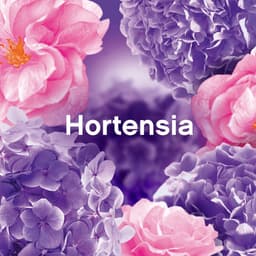 Lenor Wasverzachter Bloemenboeket 56 Wasbeurten 1176 ml — thumbnail 4
