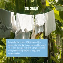 The Green Junk - 100% Natuurlijk Wasmiddel 5L Navulling (3-pack) - Zonder Synthetisch Parfum - Wasmiddel Sensitive - Vloeibaar Baby Wasmiddel - Voordeelverpakking - 501 Wasbeurten — thumbnail 5