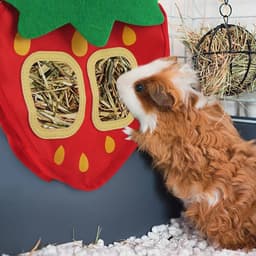 Voederzak voor Hooi en Snacks voor Kleine Dieren - Automatische Dispenser voor Konijnen en Cavia's — thumbnail 3