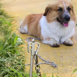 Grondanker Honden - Hondenpen - Veilig Buiten - 360 Graden Draaibaar - 40 cm - Willekeurig — thumbnail 3