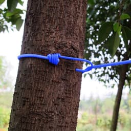 Reis Kledinglijn - Draagbaar Wasrek - Kleding Drogen - Elastisch Verstelbaar - 3 Meter - Blauw — thumbnail 2