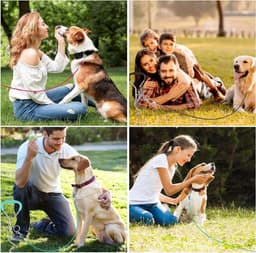 Robuuste Grondankers voor Honden, Ideaal voor Grote Honden, Met 3m Recall Lead en Roestvrije Fuse Set voor Kleine tot Middelgrote Honden — thumbnail 5
