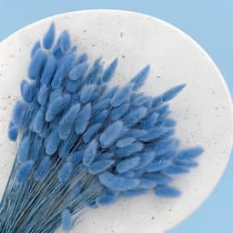 Dekogras gedroogd gras, siergras, konijnenstaarten, Lagurus Ovatus, fluwelen gras, hazenstaartgras, gedroogde bloemen, natuurlijk, boho, 120-150 stuks, 100 g, azuurro — thumbnail 2