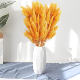 120 stuks decoratieve droogbloemen, droogbloemen, kan vrij worden gesneden, decoratieve veren, Boheemse stijl, voor woonkamer, slaapkamer, werkkamer (oranje) — thumbnail 4