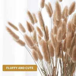 Pampasgras, 60 stuks, boho-plant, natuurlijke gedroogde bloemen, decoratieve pampa's voor wooncultuur, tafel, bruiloft (primaire kleur) — thumbnail 4