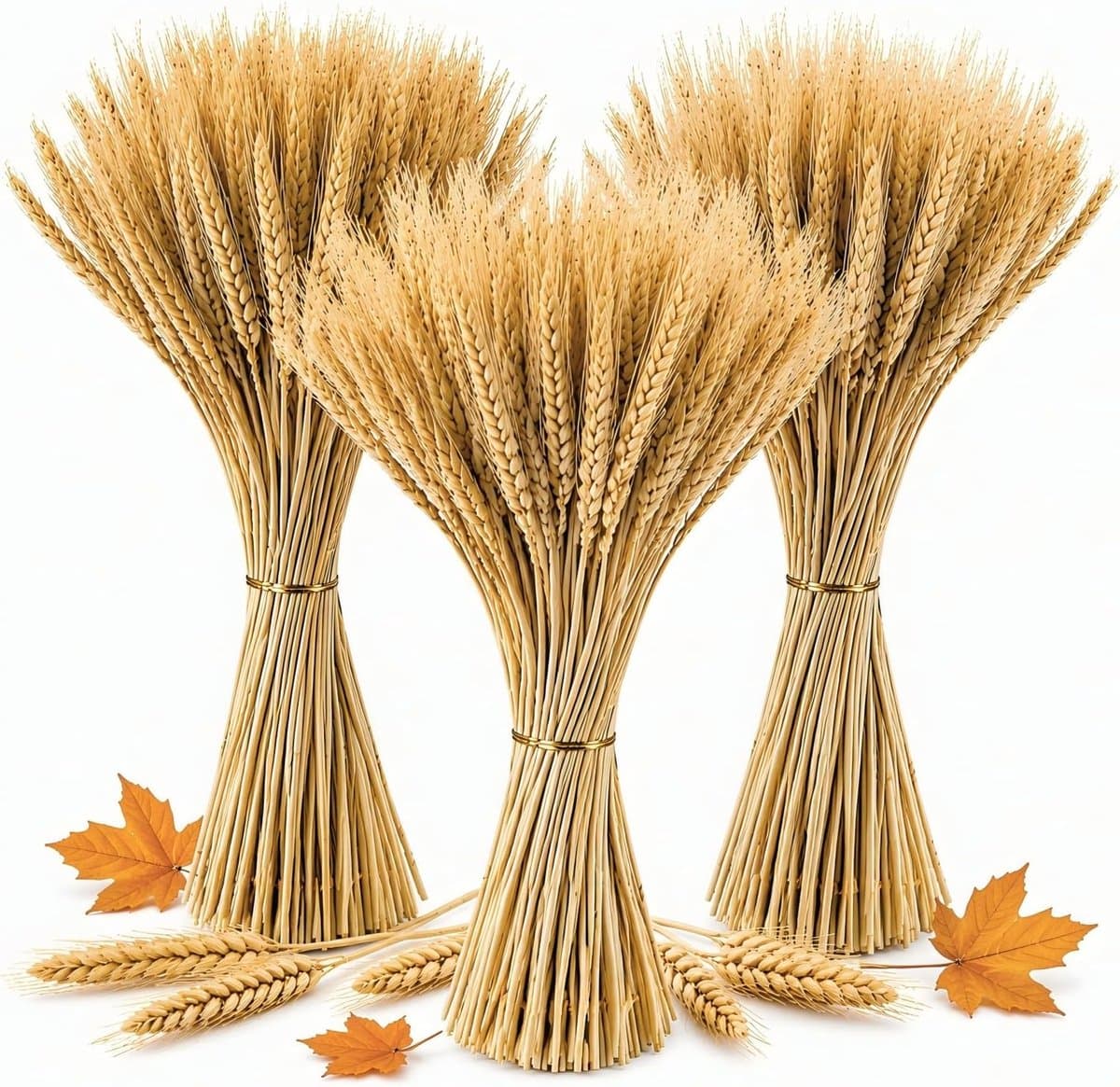 Gedroogde bloemen tarwe 40 cm — afbeelding 1
