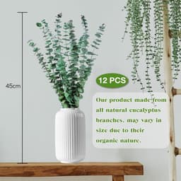 Gedroogde gedroogde gedroogde bloemen decoratief 45 cm natuurlijk fris groen met echte eucalyptusbladeren plant ideaal voor vazen bloemstukken bruiloftsdecoraties en wooncultuur — thumbnail 4