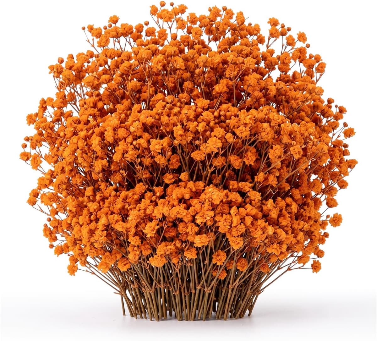 Gedroogde oranje gypsophila, voor woon- en trouwdecoratie — afbeelding 1