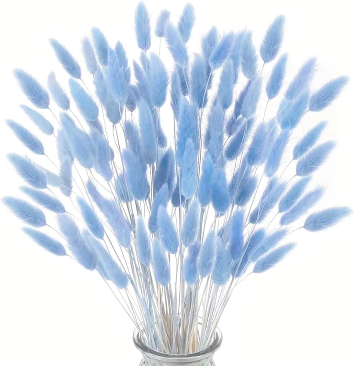 Gedroogde konijnenstaartbloemen, konijnenstaart, pampasgras, gedroogde bloemen, decoratief pampasgras, blauw gedroogd pampasgras, decoratie, geschikt voor thuis, bruiloften — afbeelding 1