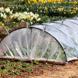 20 stuks broeikasclips, tuinclips, plantenclips, roestvrij stalen plantenhouderklemmen, sterke grip, film, schaduwnet, stokclip, wasknijpers (5,5 x 1 cm) — thumbnail 2