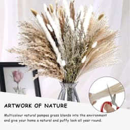 85 Stuks Pampas Gras Gedroogd Natuurlijk Gedroogde Bloemen Deco DIY Droog Bloemen Boeket, Pampas Gras Boeket Rietbloem Deco Ideaal voor Boho Woonkamer — thumbnail 4
