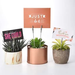 50 Stuks Metalen Draad Krokodil Clips voor Notities en Foto's - DIY Bruiloft en Verjaardagsdecoratie — thumbnail 5