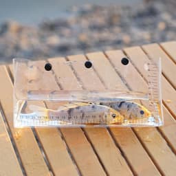 Vistransportcontainer - Vis weegzak Levende vis zak - Vissen observeren - SNAP Opening en Sluiting - 26x11.5x6.5 cm - Transparant — thumbnail 4