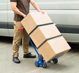 Dailygoods- Bungee Koorden 80 Inch - Verstelbaar Elastisch Touw - Heavy Duty - Met Gesp/Haken - Anti-roest - Voor Camping/Tuinieren - Elastisch Koord — thumbnail 4