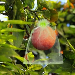 Fruitbeschermzakken - Beschermzakken Tuin - Bescherming Tegen Ongedierte - Met Trekkoorden - 13x18 cm - Groen — thumbnail 5