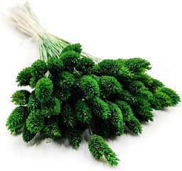 Dekogras Gedroogd Gras Siergras Kanariegras Phalaris Droogbloemen Natuurlijk Boho Ca. 100 Stuks 80 g Flesgroen — thumbnail 1