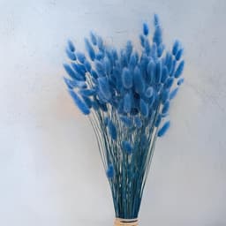 Dekogras gedroogd gras, siergras, konijnenstaarten, Lagurus Ovatus, fluwelen gras, hazenstaartgras, gedroogde bloemen, natuurlijk, boho, 120-150 stuks, 100 g, azuurro — thumbnail 4