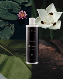 Rosaodor Wasparfum INTENSO 500 ml – Geconcentreerd wasparfum — thumbnail 2