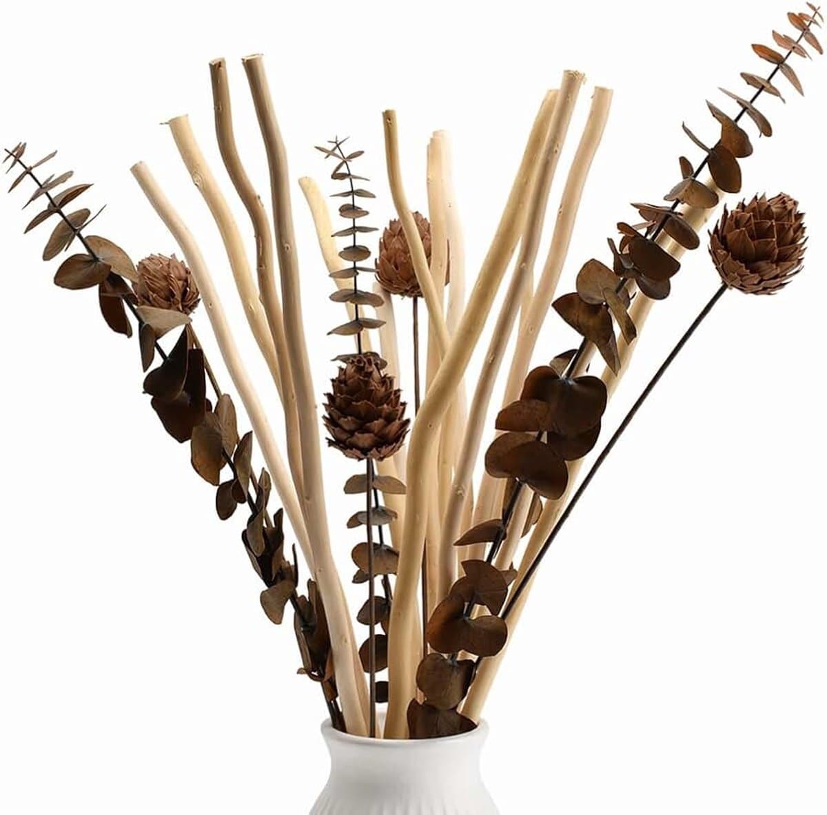 Gedroogde wilgentakken, decoratie, boeket gedroogde bloemen, eucalyptus en dennenappels, plant, decoratie voor rustiek, boho, tafel, huis, woonkamer, bruiloft — afbeelding 1