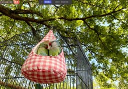 Praktische Opbergzakken voor Kledingknijpers met Haakjes, U-vormige Opening voor Buiten, Balkon en Wasruimte - Set van 2 in Groen-Wit en Roze-Wit — thumbnail 2