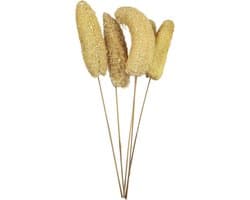 Luffa-kop op steel - 5 stuks - Poly - naturel